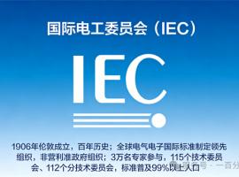 中外標準咨詢服務