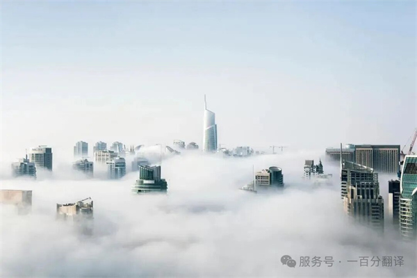 中外標(biāo)準(zhǔn)咨詢服務(wù)